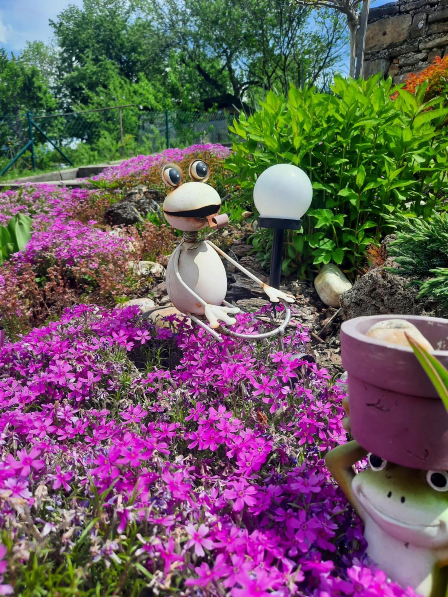 Domceky Holiday ลิปตอฟสกี โตรเวก ภายนอก รูปภาพ
